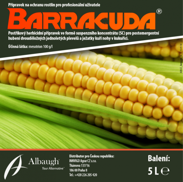 Barracuda