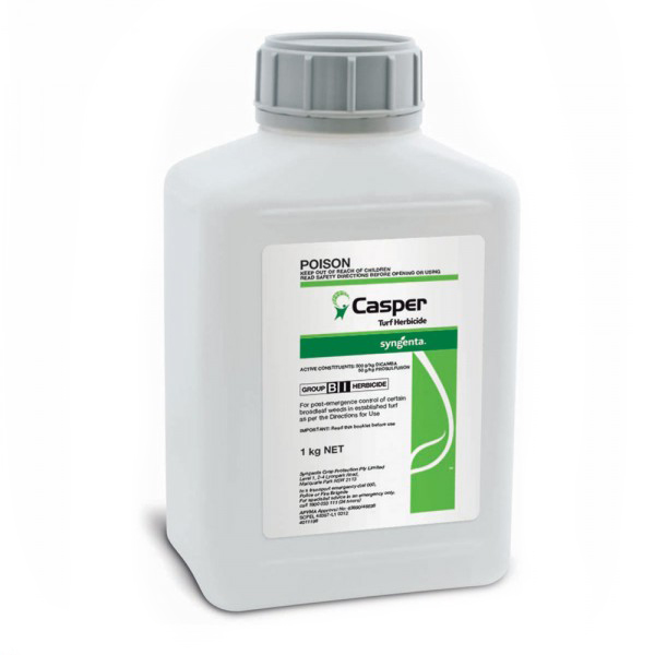Casper
