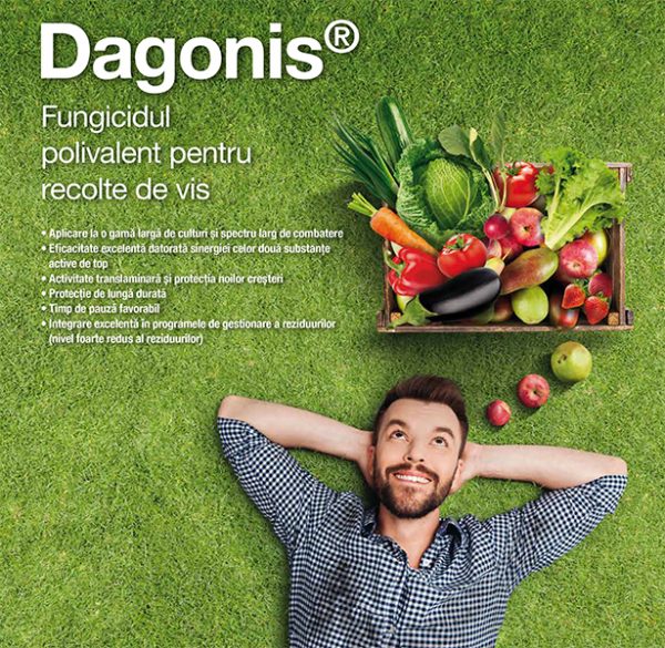 Dagonis
