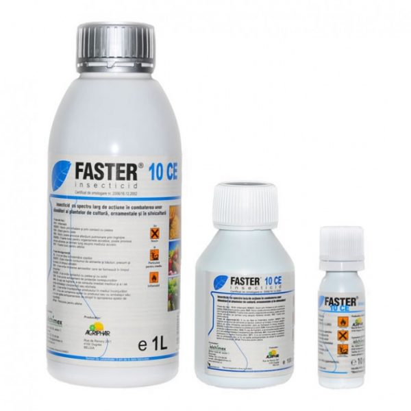 Faster 10 CE