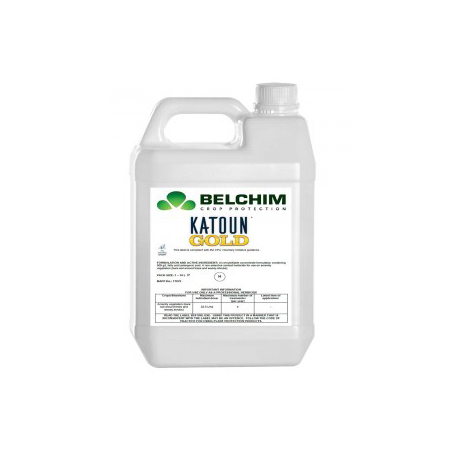 Katoun Gold