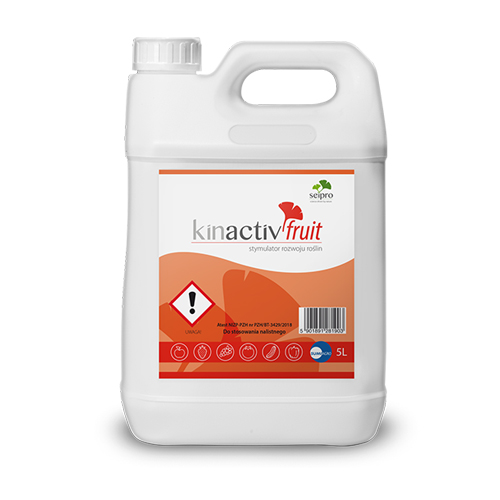 Kinactiv Fruit