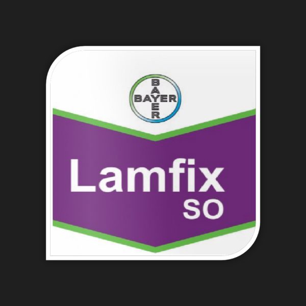 Lamfix SO
