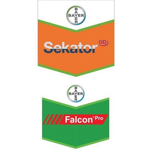 Pachet Cereale Falcon Pro