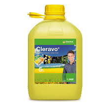Pachet Cleravo + Dash