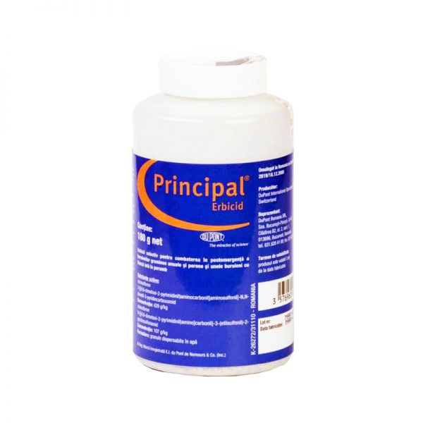 PRINCIPAL