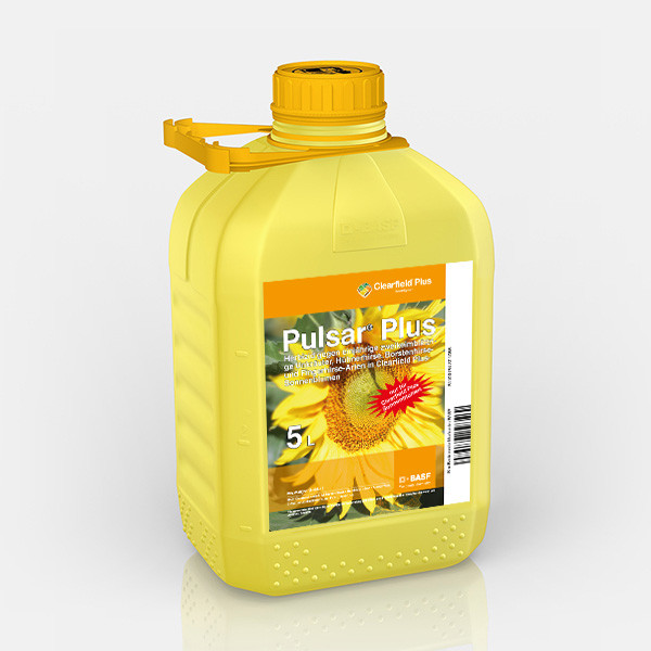Pulsar Plus