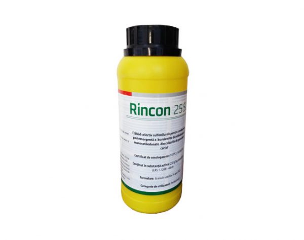 Rincon 25 SG