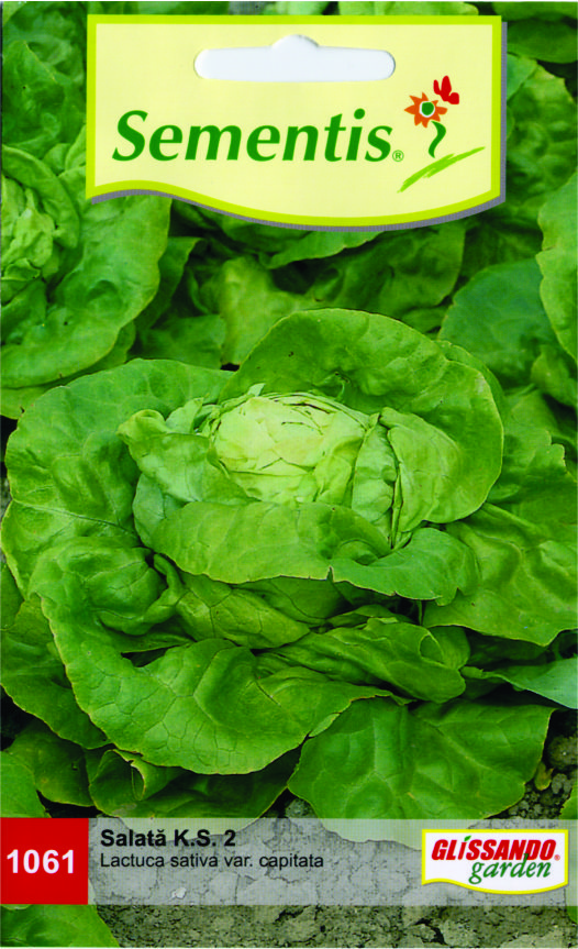 Salată K.S. 2