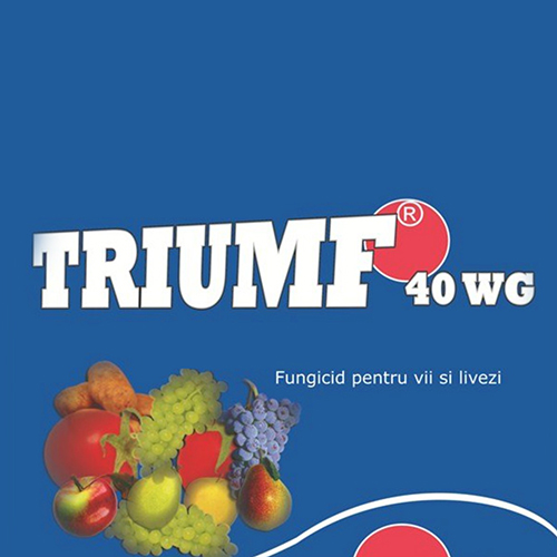 Triumf 40 WG