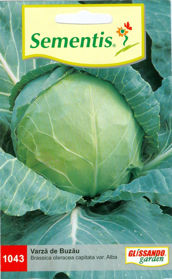 Varză de Buzău