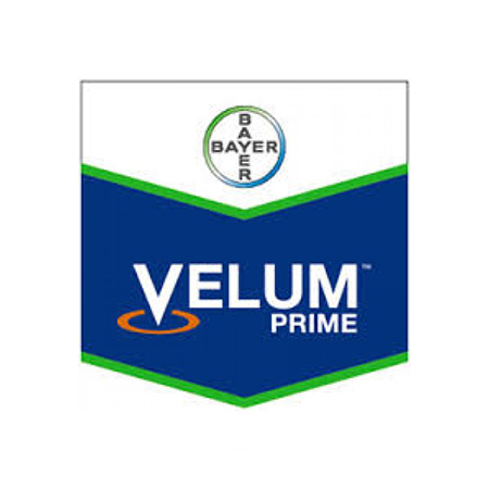 Velum Prime 400 SC