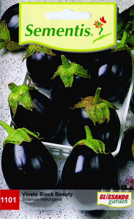 Vinete Black Beauty