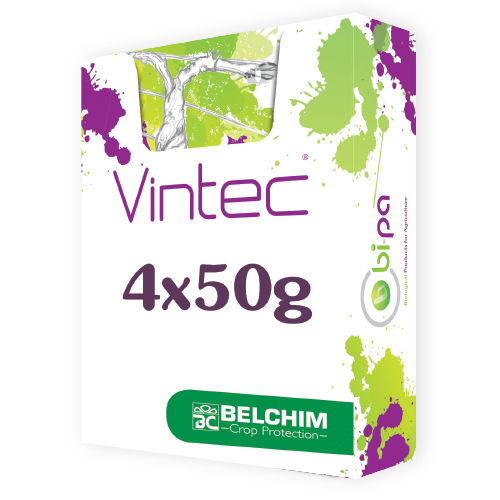 Vintec