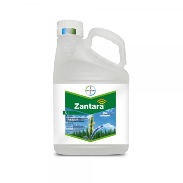 Zantara 216 EC